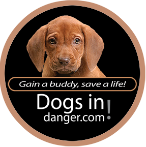DogsInDanger Logo