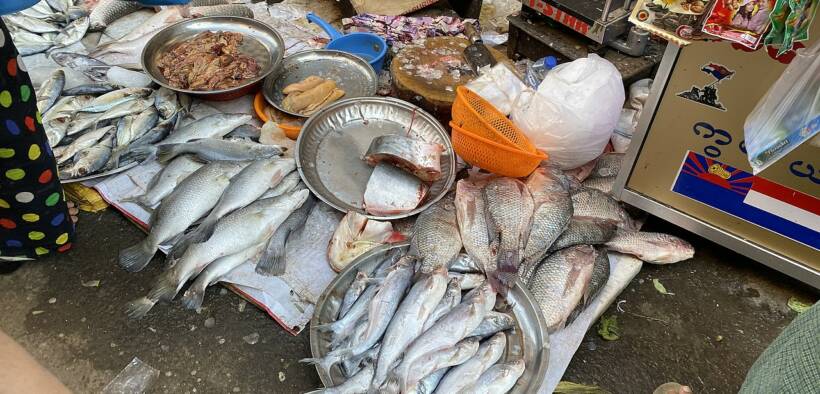 Typical photo of a wet market in Yangon, China