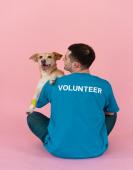 Animal Rescue: The High Cost