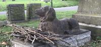 Rex in his final resting place with sticks left by residents