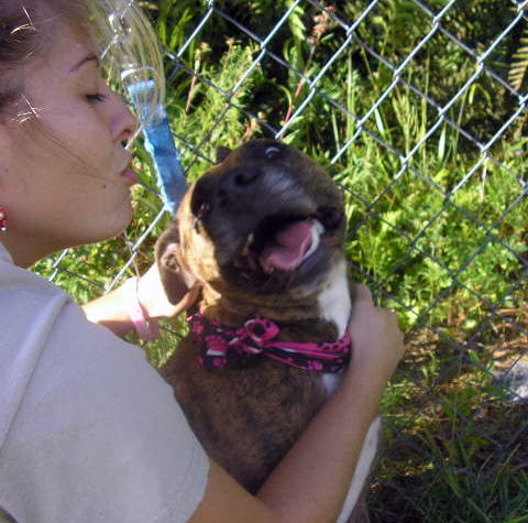 Other Photos of thie Dog