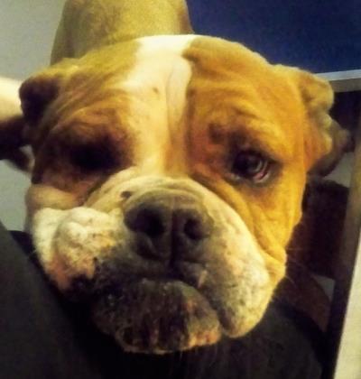 MIA located in El Paso, TX has an unknown status at this time