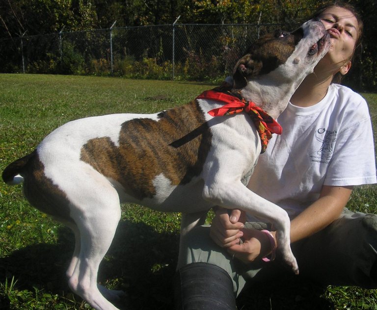 Other Photos of thie Dog
