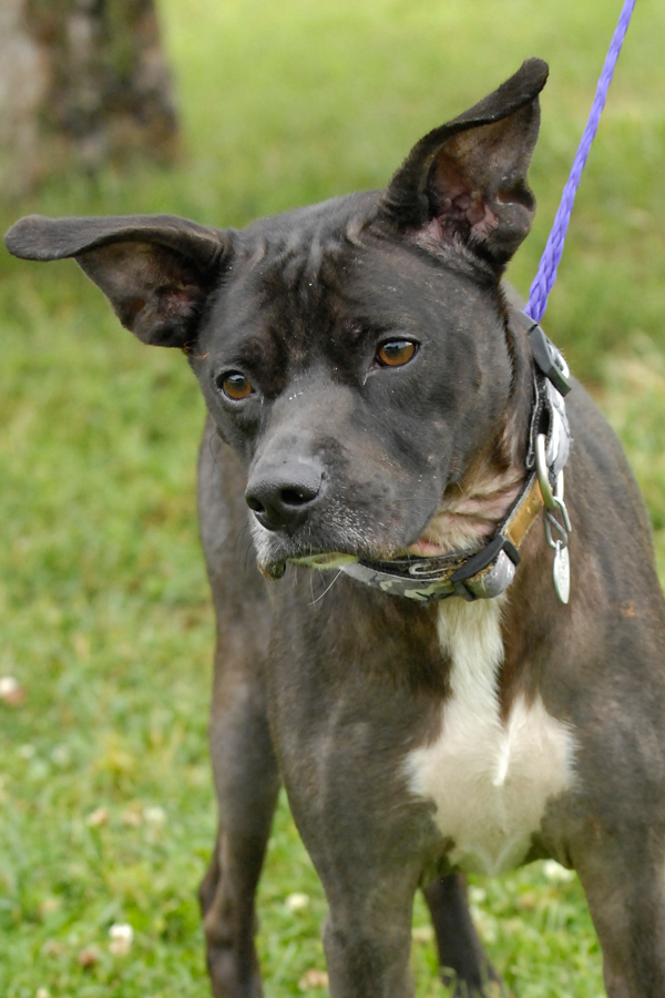 WEGO located in Johnson City, TN was saved