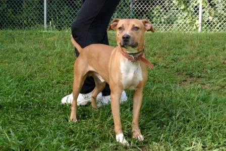 Other Photos of thie Dog
