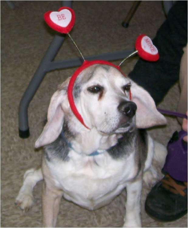 Other Photos of thie Dog
