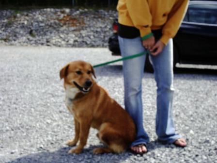 Other Photos of thie Dog