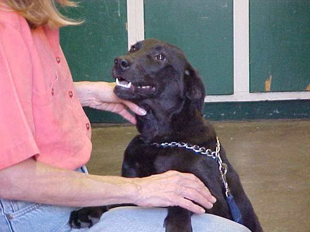 Other Photos of thie Dog