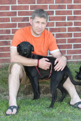 Other Photos of thie Dog