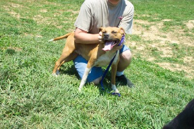 Other Photos of thie Dog