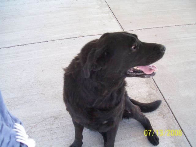 Other Photos of thie Dog