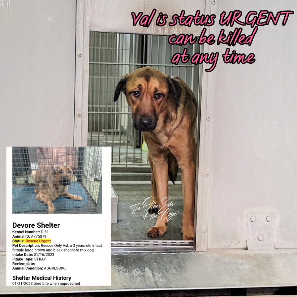 SELLA located in San Bernadino, CA has an unknown status at this time SELLA located in San Bernadino, CA has an unknown status at this time