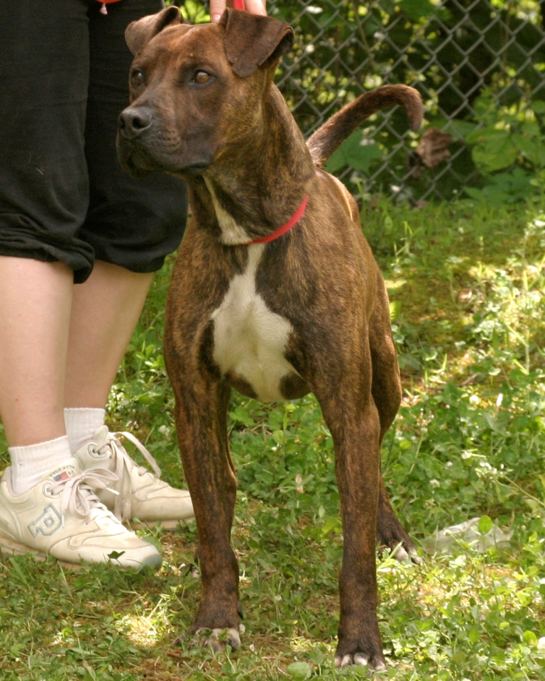 Other Photos of thie Dog
