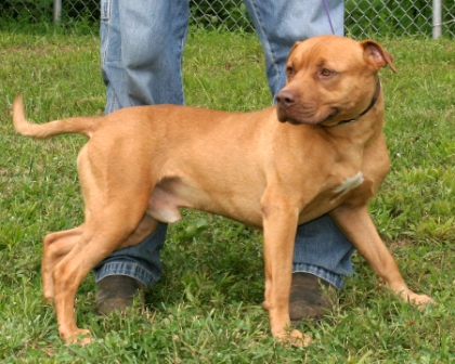 Other Photos of thie Dog