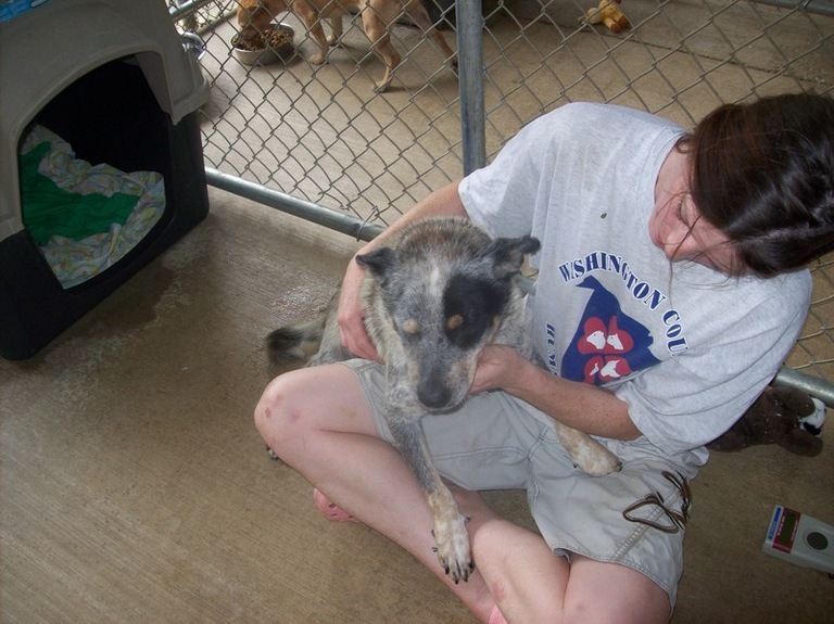 Other Photos of thie Dog