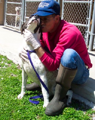 Other Photos of thie Dog