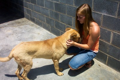 Other Photos of thie Dog