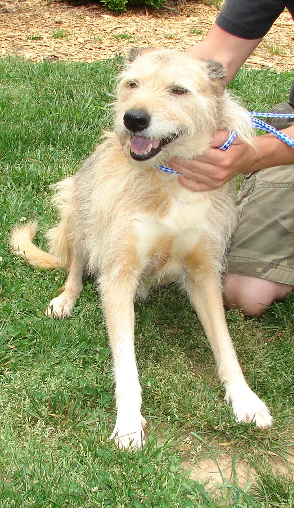 Other Photos of thie Dog