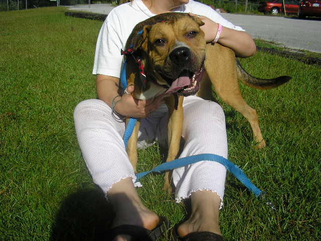 Other Photos of thie Dog