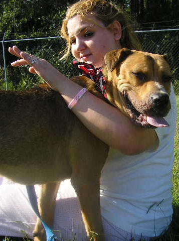 Other Photos of thie Dog