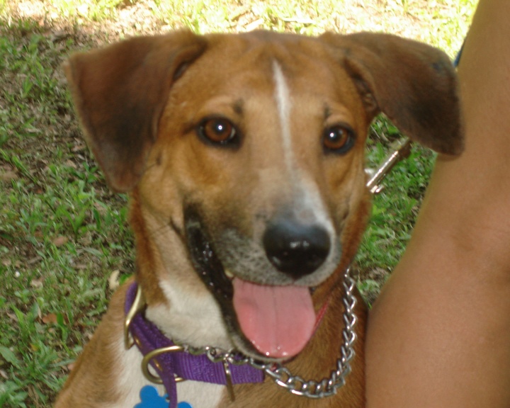 Other Photos of thie Dog