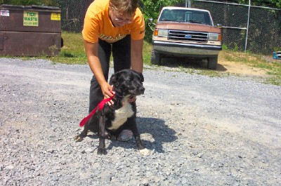 Other Photos of thie Dog