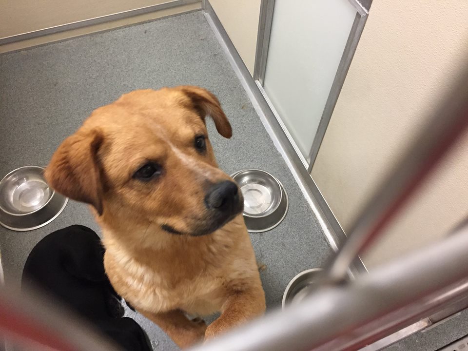 33362 Located In Los Lunas NM Has An Unknown Status At This Time 33362-located-in-los-lunas-nm-has-an-unknown-status-at-this-time