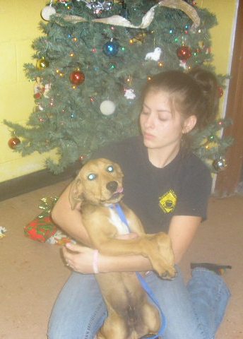 Other Photos of thie Dog
