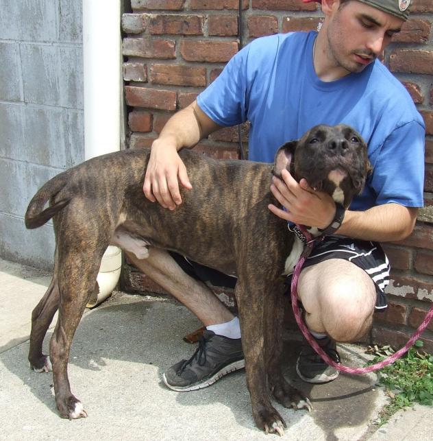 Other Photos of thie Dog