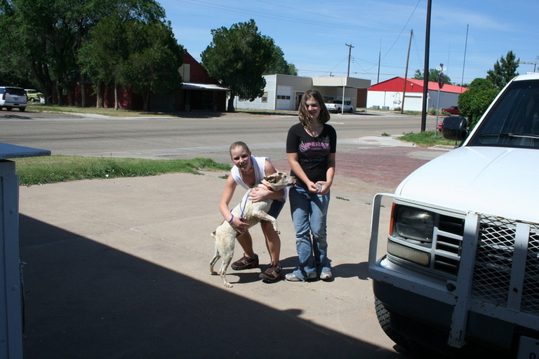 Other Photos of thie Dog