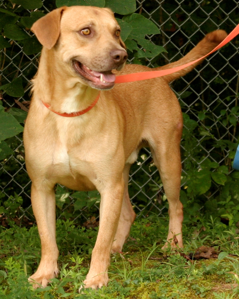Other Photos of thie Dog