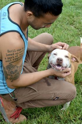 Other Photos of thie Dog