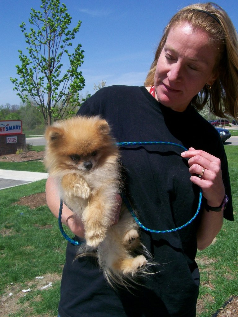 Other Photos of thie Dog
