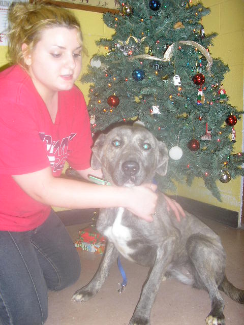 Other Photos of thie Dog