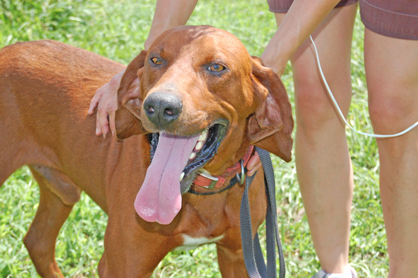 Other Photos of thie Dog