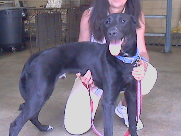 Other Photos of thie Dog