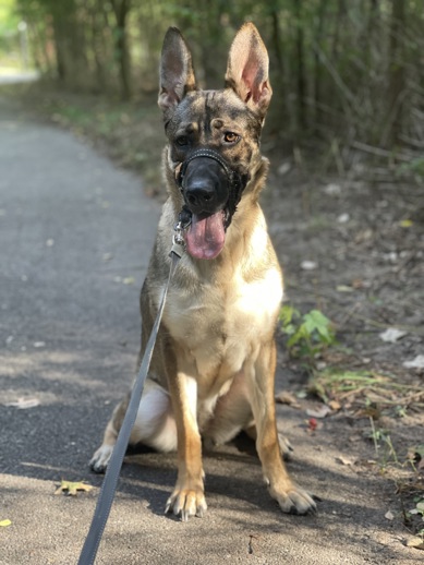 JAXI located in New York, NY was saved
