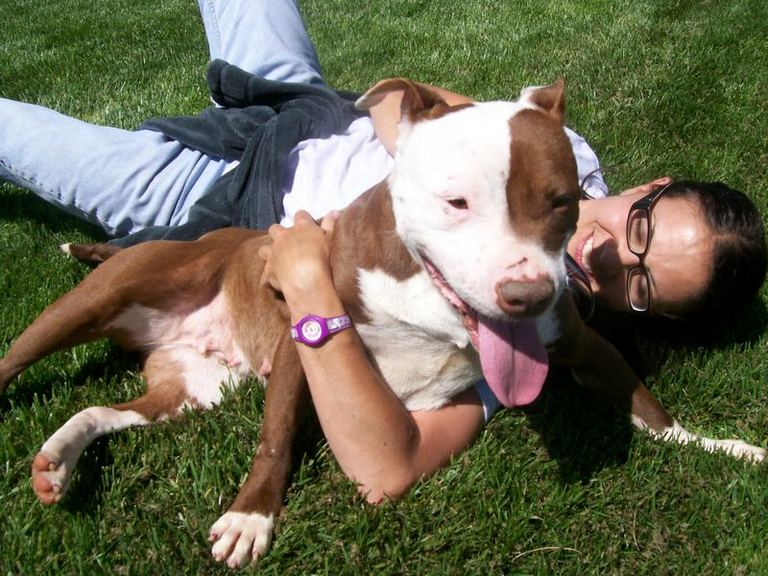 Other Photos of thie Dog