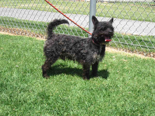 Adam Id A Located In Camarillo Ca Adam Id A Located In Camarillo Ca