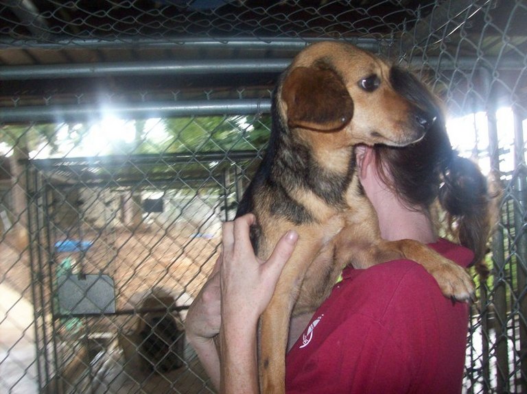 Other Photos of thie Dog