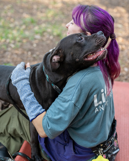 Other Photos of thie Dog