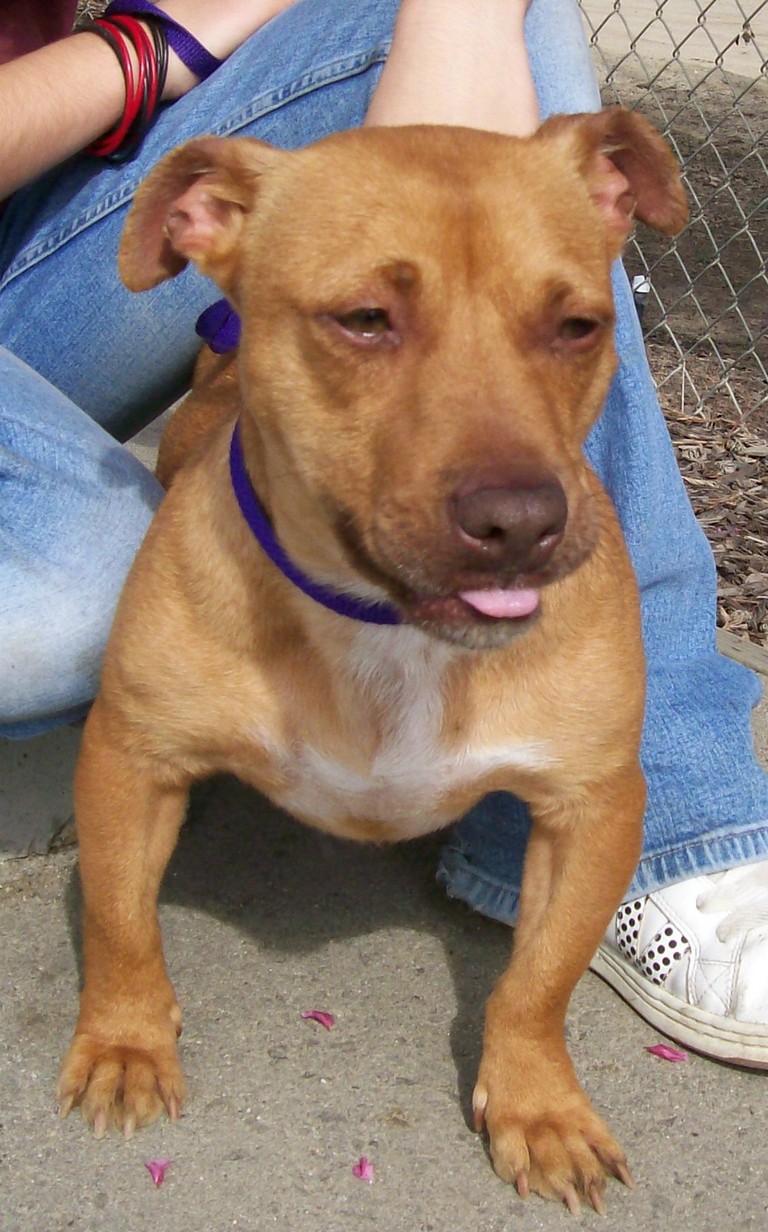 Other Photos of thie Dog
