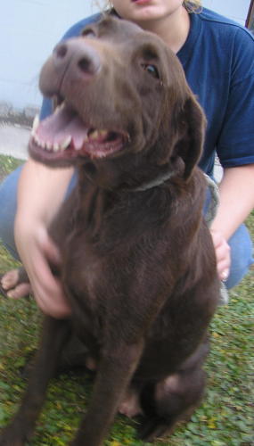 Other Photos of thie Dog
